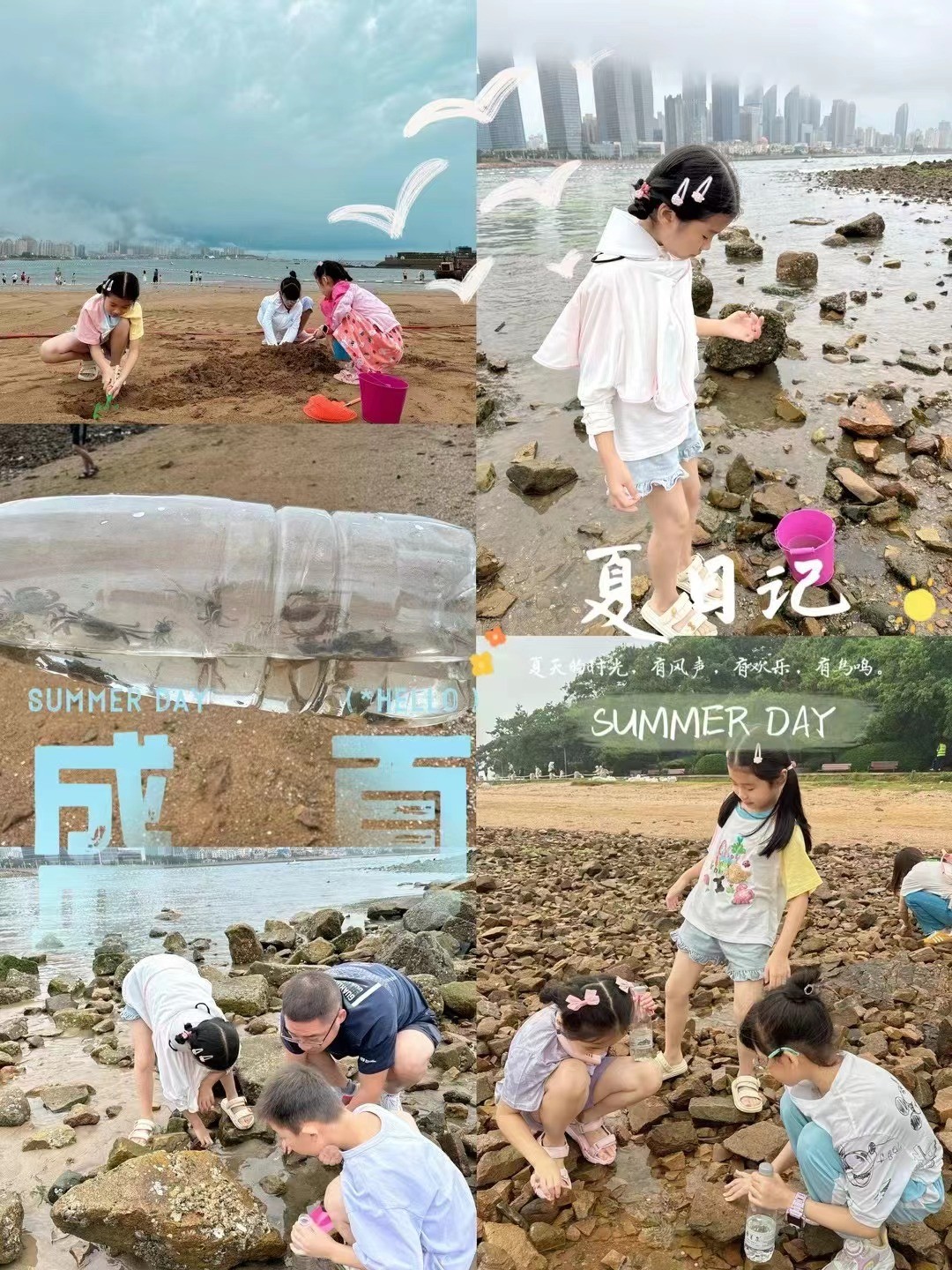 1721808298116059.jpg 1721808298116059.jpg